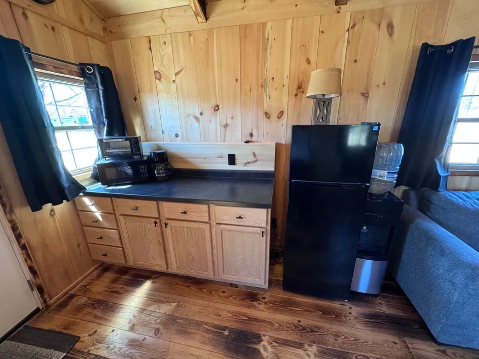 Kitchen counter, sink, microwave, and refrigerator in the Green Door Cabin