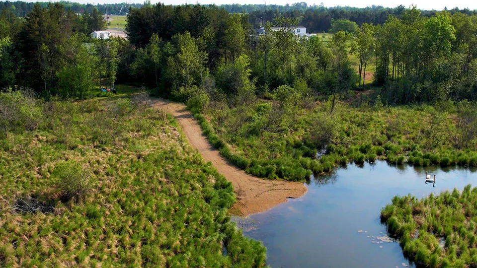 Calm water and wooded shoreline along Grant Creek
